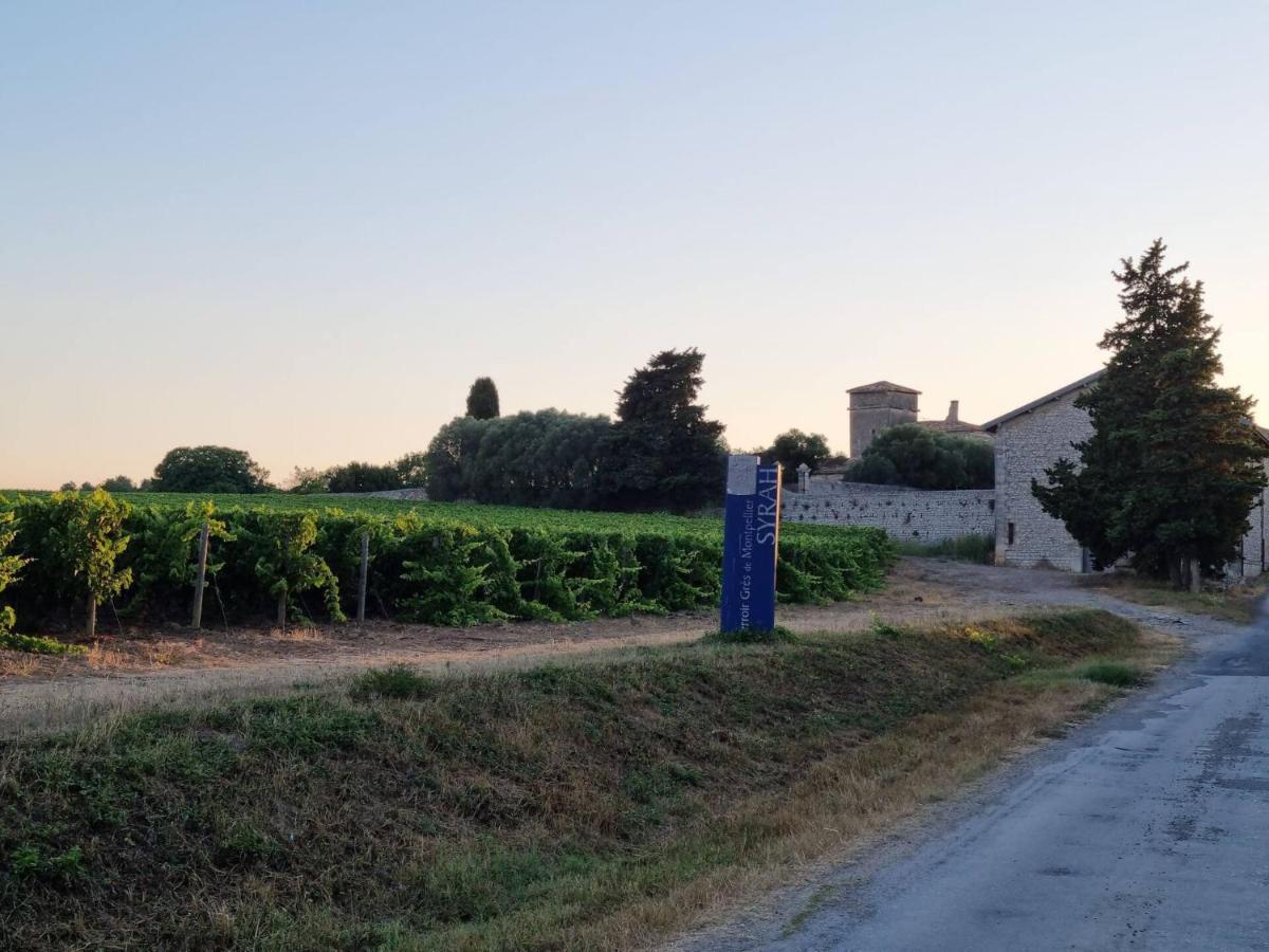Gites De L'Estagnol Villeneuve-lès-Maguelonne Eksteriør billede