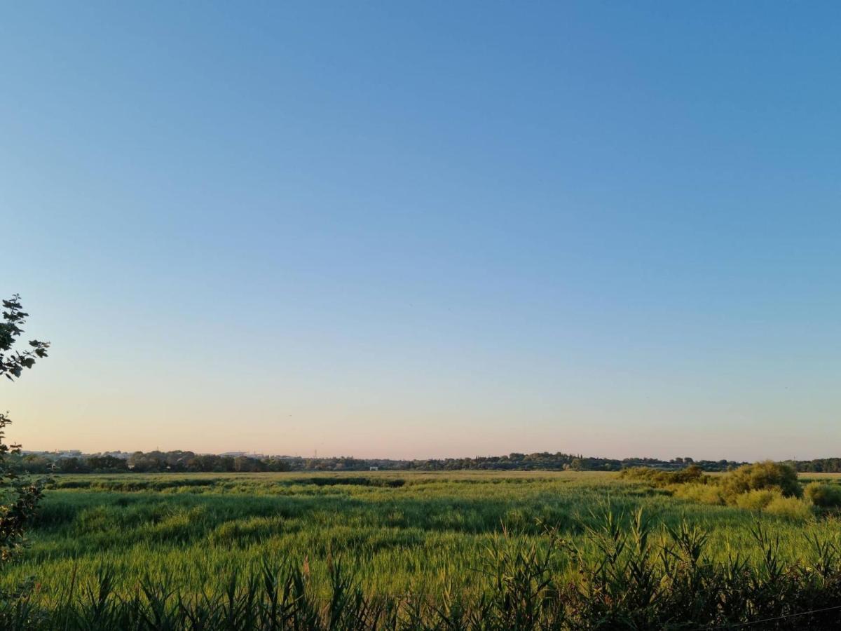 Gites De L'Estagnol Villeneuve-lès-Maguelonne Eksteriør billede