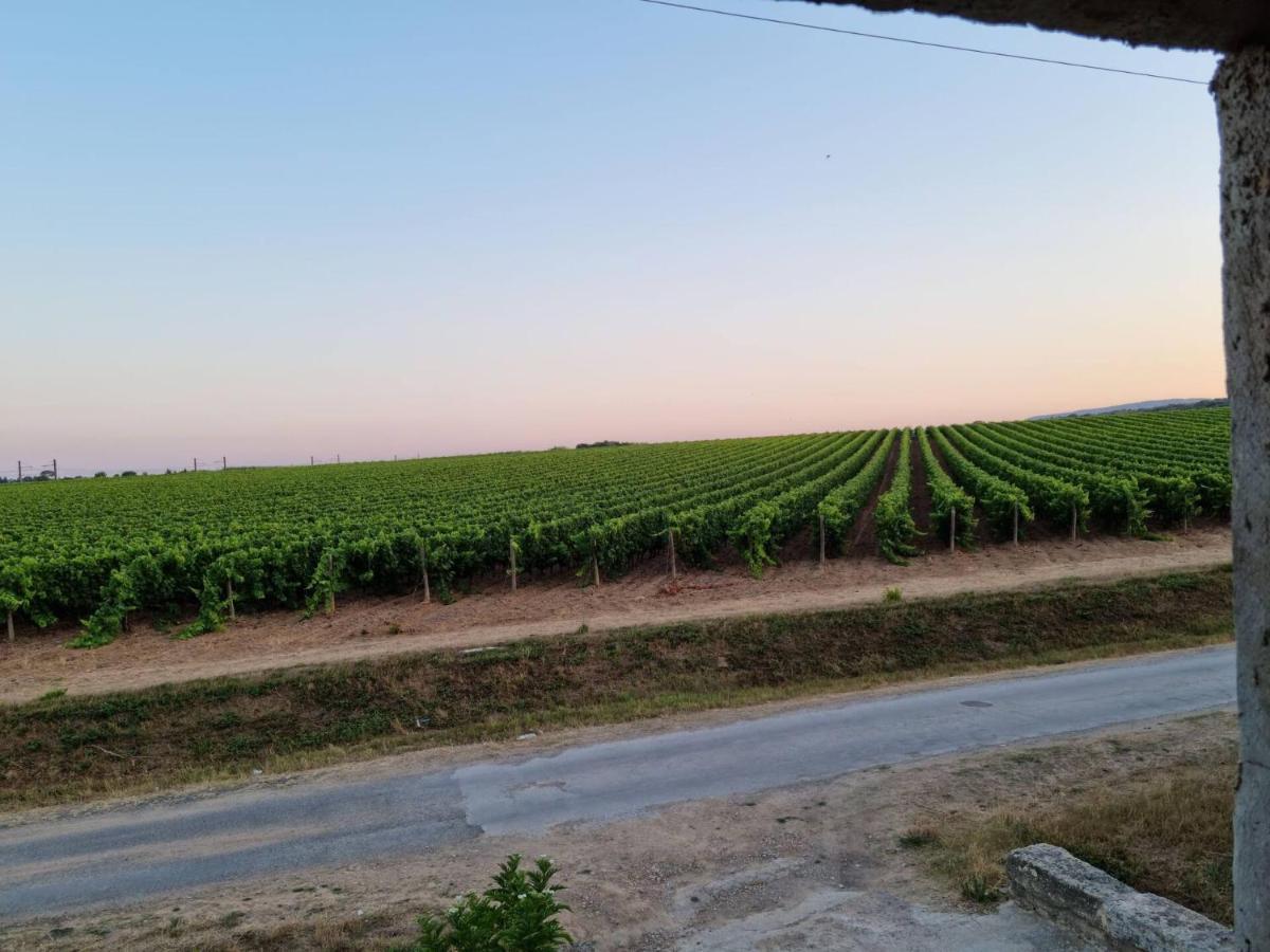 Gites De L'Estagnol Villeneuve-lès-Maguelonne Eksteriør billede